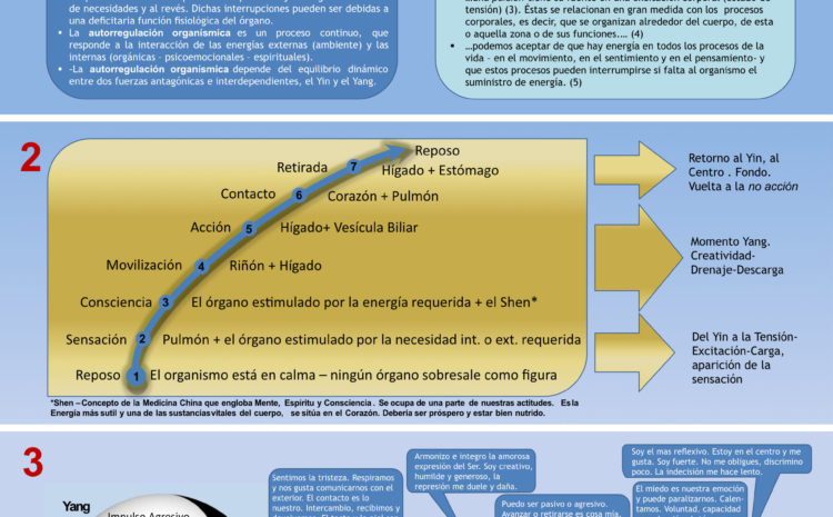 Inauguración de web – primer escrito del blog